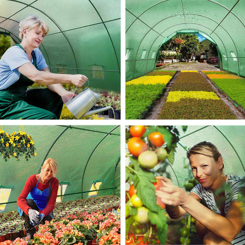 Greenhouse 6x3x2M Walk in Green House Tunnel Plant Garden Shed Dome