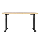 Standing Desk Motorised Dual Motor Oak 120CM
