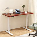Standing Desk Motorised Electric Dual Motor 120CM Walnut