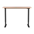 120CM Artiss Electric Standing Desk Sit Stand Desks Home Office Computer Desk