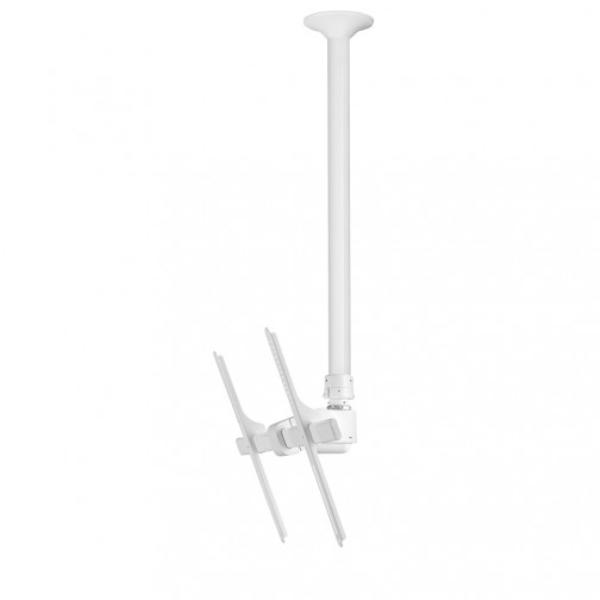 ]Telehook 30-70 Ceiling Mount Tilt Long - White