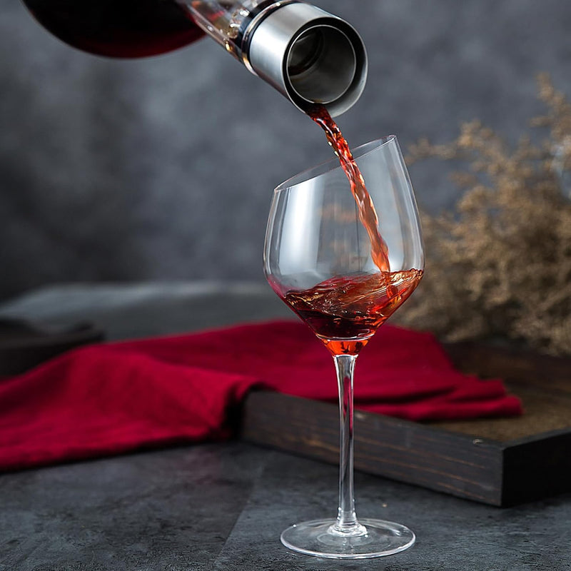 CARLA HOME Iceberg Wine Decanter with Aerator Filter and Lid