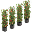 Tomato Tower With 3 Tier Frame 4 x Pack
