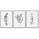 Wall Art 60cmx90cm Eucalyptus Plant 3 Sets Black Frame Canvas