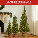 Christabelle Set of 3 Pre-Lit Christmas Trees Green Pine w/LED Lights, Hessian Base & Individual Plugs Varying Heights