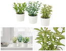3 Pack of Artificial Herb Potted Plants in White Plastic 5cm Pot Interior Decoration