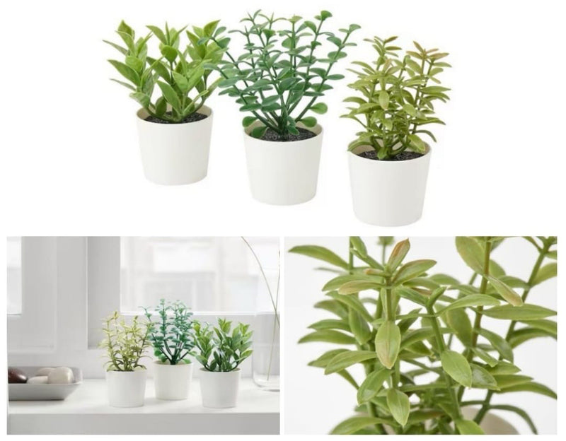artificial herb plants in pots 3 Pack of Artificial Herb Potted Plants in White Plastic 5cm Pot Inter